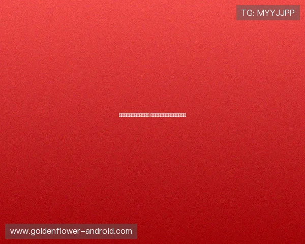 广西足球队奋勇拼搏展新篇 多名新星崭露头角引领未来发展